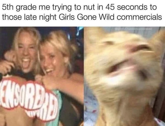 dirty memes-gf saying faster faster meme - 5th grade me trying to nut in 45 seconds to those late night Girls Gone Wild commercials incorporated Nord