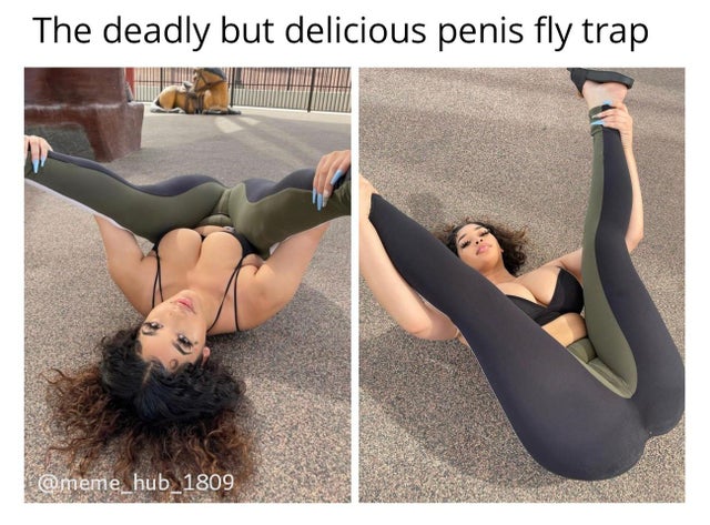 dirty memes-thigh - The deadly but delicious penis fly trap