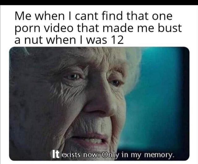 dirty memes-exists only in my memory meme - Me when I cant find that one porn video that made me bust a nut when I was 12 It exists now. Only in my memory.