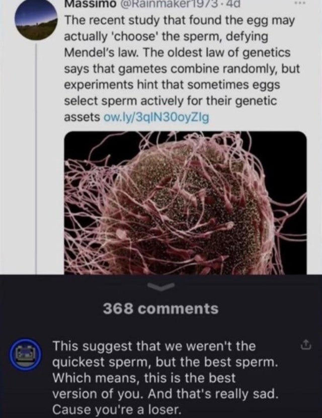 dark memes- egg selects sperm meme - Massimo .40 The recent study that found the egg may actually 'choose the sperm, defying Mendel's law. The oldest law of genetics says that gametes combine randomly, but experiments hint that sometimes eggs select sperm