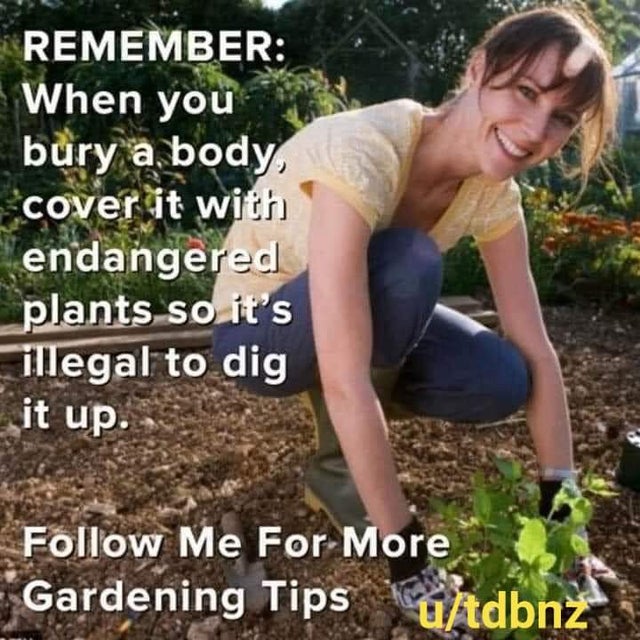 dark memes- endangered plants meme - Remember When you bury a, body cover it with endangered plants so it's illegal to dig it up. Me For More Gardening Tips utdbnz