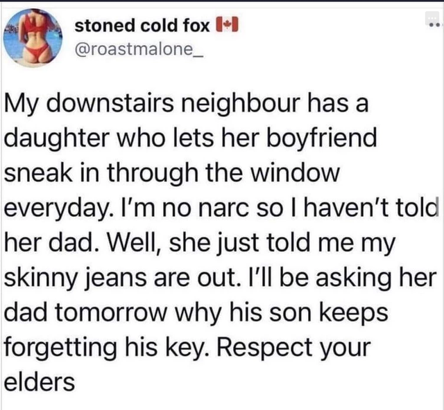dark memes- David Cullinane - stoned cold fox My downstairs neighbour has a daughter who lets her boyfriend sneak in through the window everyday. I'm no narc so I haven't told her dad. Well, she just told me my skinny jeans are out. I'll be asking her dad