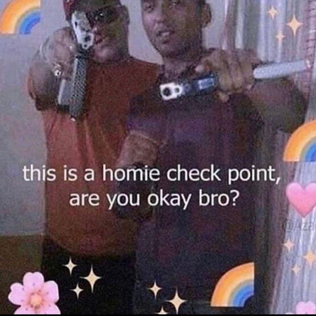homie checkpoint - 0 this is a homie check point, are you okay bro?