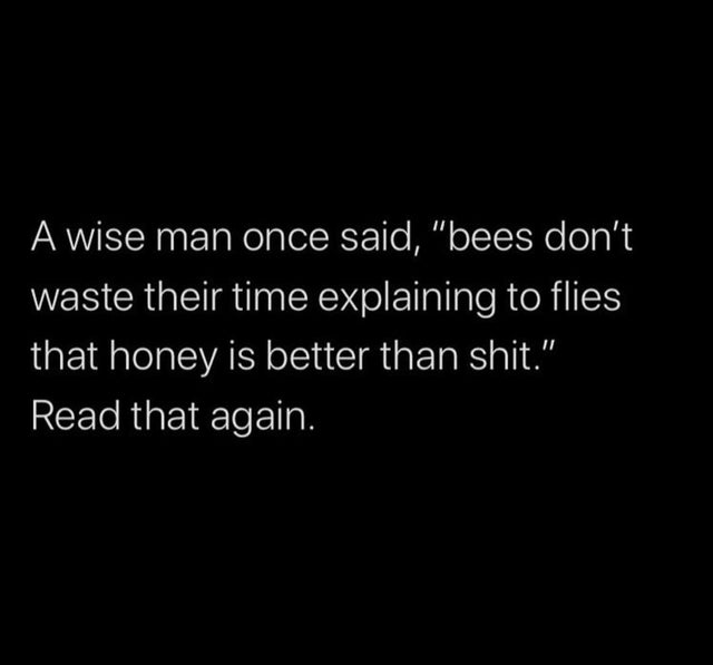ariana grande into you lyrics - A wise man once said, "bees don't waste their time explaining to flies that honey is better than shit." Read that again.
