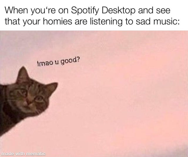 fauna - When you're on Spotify Desktop and see that your homies are listening to sad music Imao u good? made with mematic