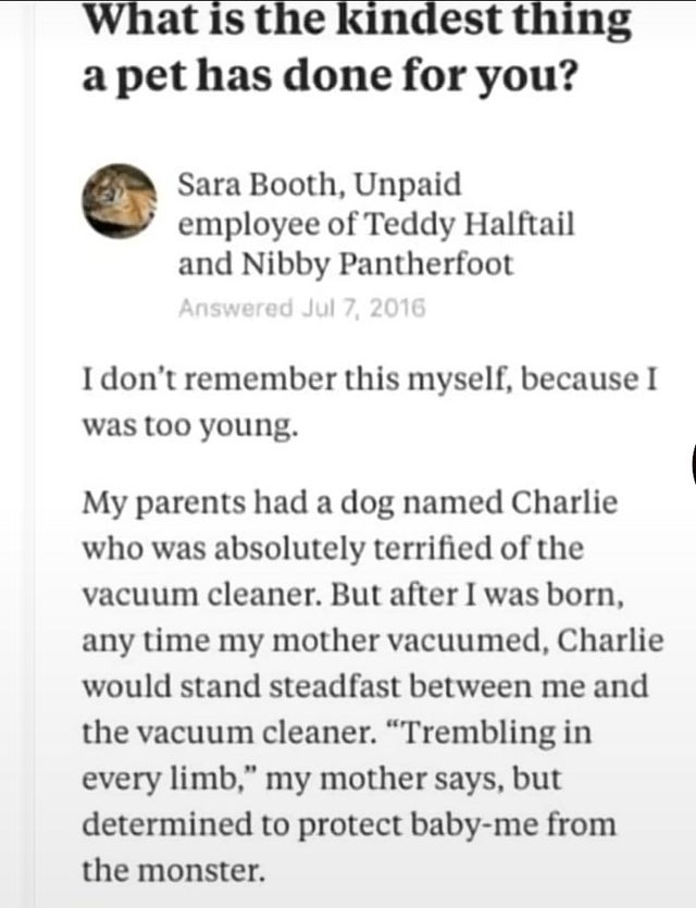 paper - What is the kindest thing a pet has done for you? Sara Booth, Unpaid employee of Teddy Halftail and Nibby Pantherfoot Answered I don't remember this myself, because I was too young. My parents had a dog named Charlie who was absolutely terrified o