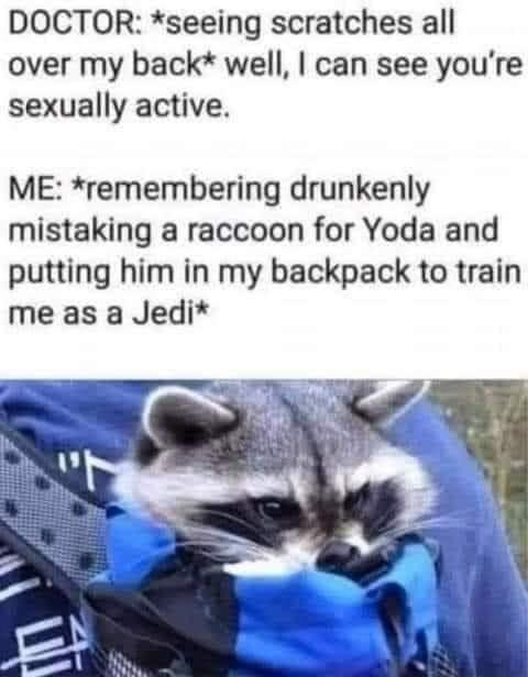 fresh memes september 2021 - Doctor seeing scratches all over my back well, I can see you're sexually active. Me remembering drunkenly mistaking a raccoon for Yoda and putting him in my backpack to train me as a Jedi