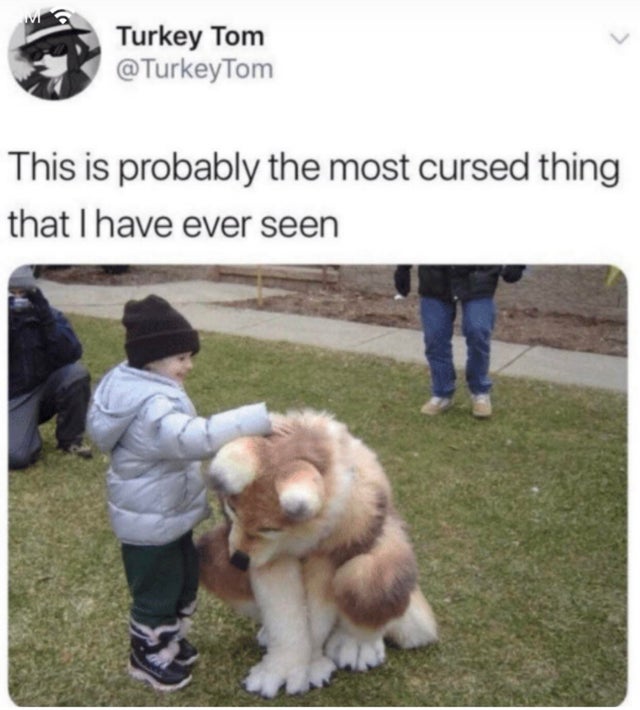 first i thought it was a very fluffy dog - Turkey Tom This is probably the most cursed thing that I have ever seen