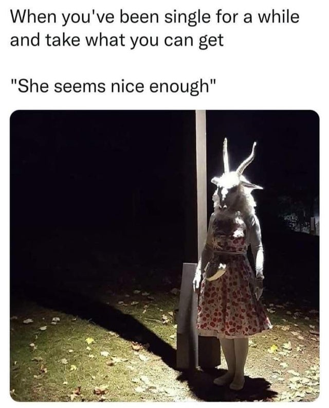 photo caption - When you've been single for a while and take what you can get "She seems nice enough"