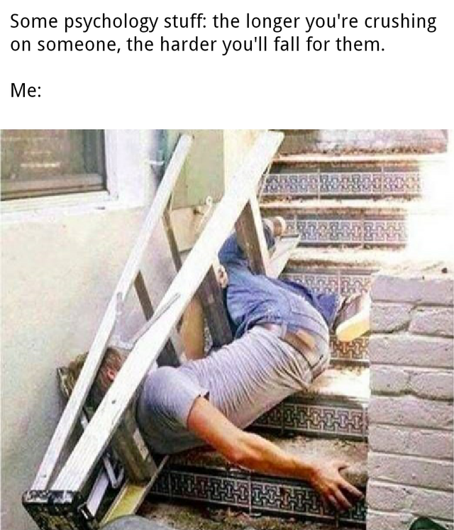 funny life memes - Some psychology stuff the longer you're crushing on someone, the harder you'll fall for them. Me Sus 12