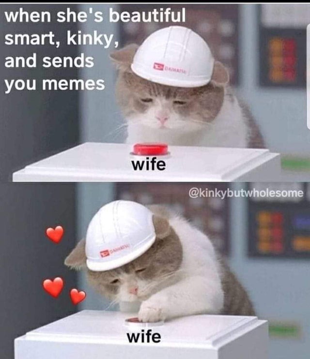 depresso catto - when she's beautiful smart, kinky, and sends you memes wife wife