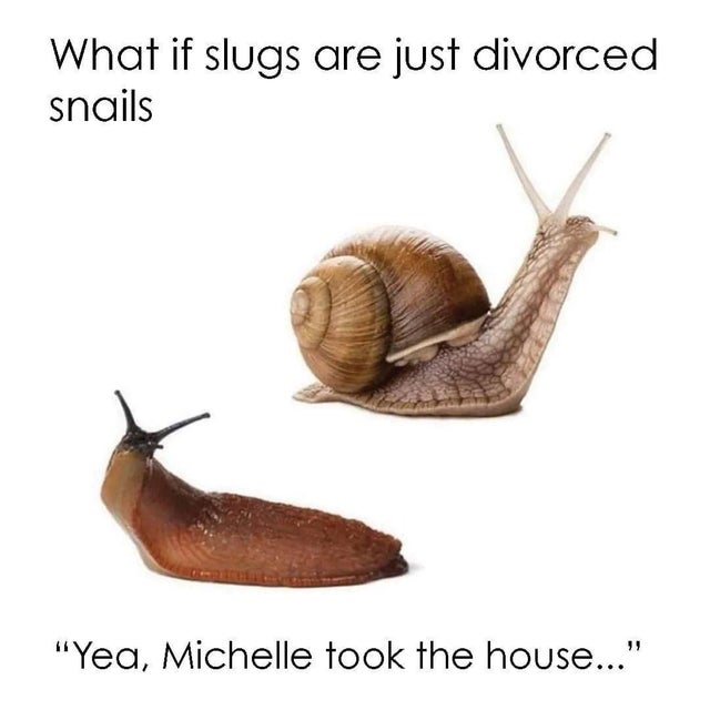 if slugs are just divorced snails - What if slugs are just divorced snails 1 "Yea, Michelle took the house..."