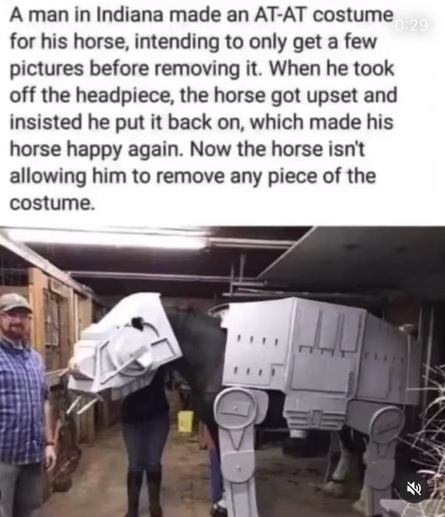horse - A man in Indiana made an AtAt costume 29 for his horse, intending to only get a few pictures before removing it. When he took off the headpiece, the horse got upset and insisted he put it back on, which made his horse happy again. Now the horse is