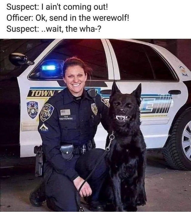 dark memes - lucifer fetch me his soul - Suspect I ain't coming out! Officer Ok, send in the werewolf! Suspect ..wait, the wha? Town L we Katynowe Flo