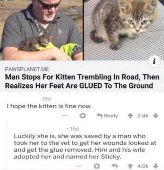 wholesome pics and memes - kitten on a road meme - Pawsplanet.Me Man Stops For Kitten Trembling In Road, Then Realizes Her Feet Are Glued To The Ground 150 I hope the kitten is fine now 150 Luckily she is, she was saved by a man who took her to the vet to