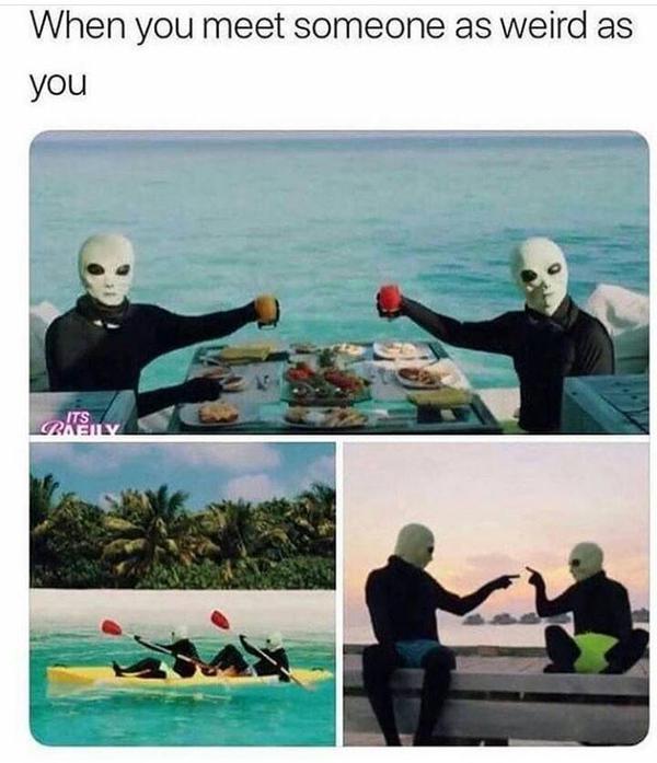 wholesome pics and memes - you meet someone as weird as you - When you meet someone as weird as you Its Crany