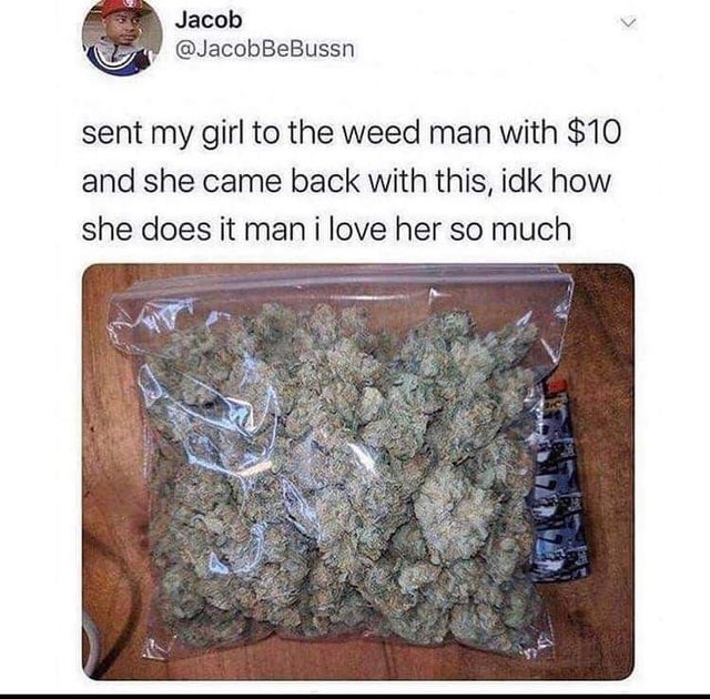 twisted memes - weed plug meme - > Jacob BeBussn sent my girl to the weed man with $10 and she came back with this, idk how she does it man i love her so much