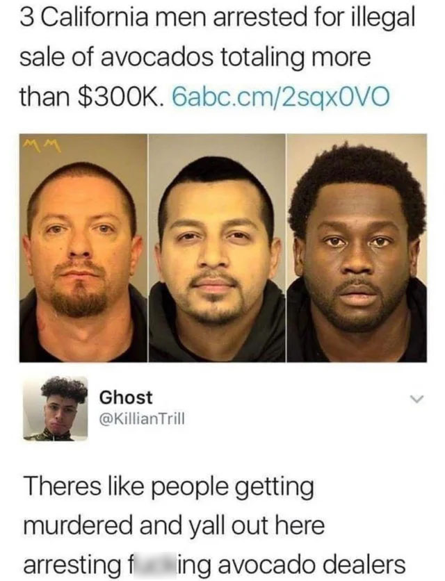 twisted memes - avocado dealers - 3 California men arrested for illegal sale of avocados totaling more than $. 6abc.cm2sqxOVO Ghost Trill Theres people getting murdered and yall out here arresting f ing avocado dealers