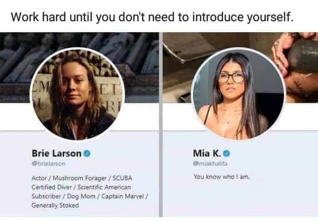 twisted memes - there's two types of people meme - Work hard until you don't need to introduce yourself. Nrj Brie Larson Actor Mushroom Forager Scuba Certified Diver Scientific American Subscriber Dog Mam Captain Marvel Generally Stoked Mia K. Omiakhalifa