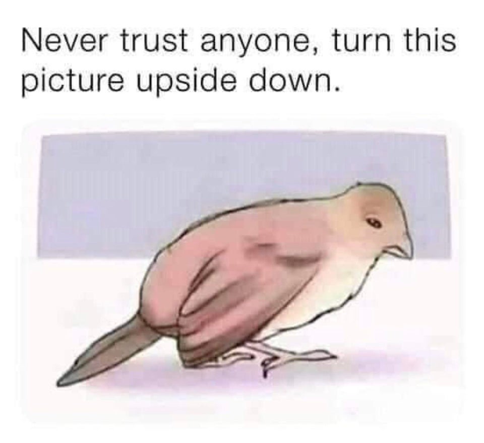 twisted memes - never trust anyone turn picture upside down - Never trust anyone, turn this picture upside down.