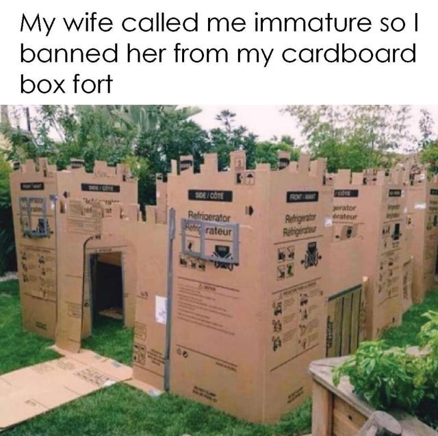 relationship memes - cardboard fort - My wife called me immature sol banned her from my cardboard box fort SoeCote Core ser erator erateur Refrigerator per rateur Refrigerator Retigit Au 2