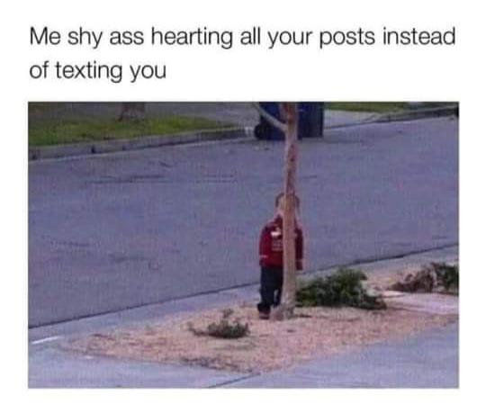 relationship memes - hiding funny meme - Me shy ass hearting all your posts instead of texting you