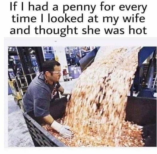 relationship memes - if i had a penny for every time i looked at my wife and thought she was hot - If I had a penny for every time I looked at my wife and thought she was hot
