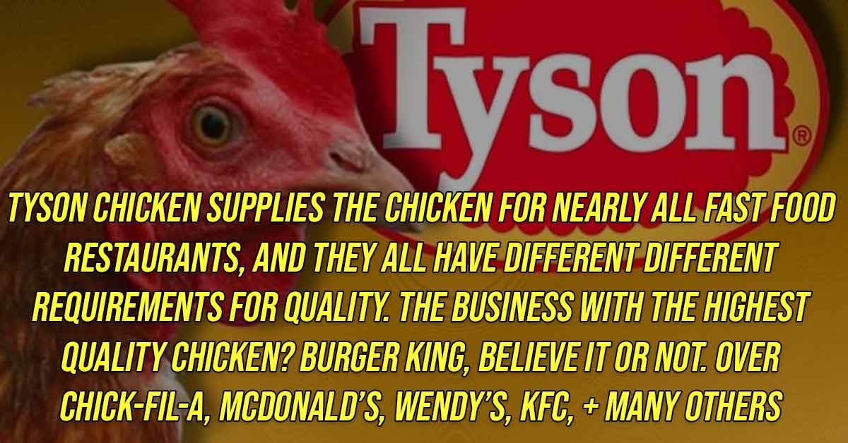 tyson foods - Tyson Tyson Chicken Supplies The Chicken For Nearly All Fast Food Restaurants, And They All Have Different Different Requirements For Quality. The Business With The Highest Quality Chicken? Burger King, Believe It Or Not. Over ChickFilA, Mcd