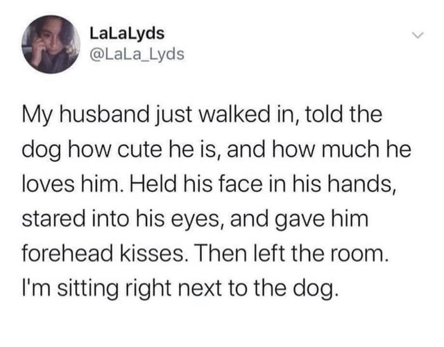 im so sick of summer meme - LaLaLyds My husband just walked in, told the dog how cute he is, and how much he loves him. Held his face in his hands, stared into his eyes, and gave him forehead kisses. Then left the room. I'm sitting right next to the dog.