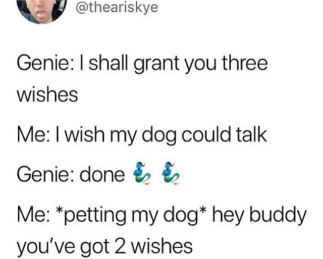 paper - Genie I shall grant you three wishes Me I wish my dog could talk Genie done e Me petting my dog hey buddy you've got 2 wishes