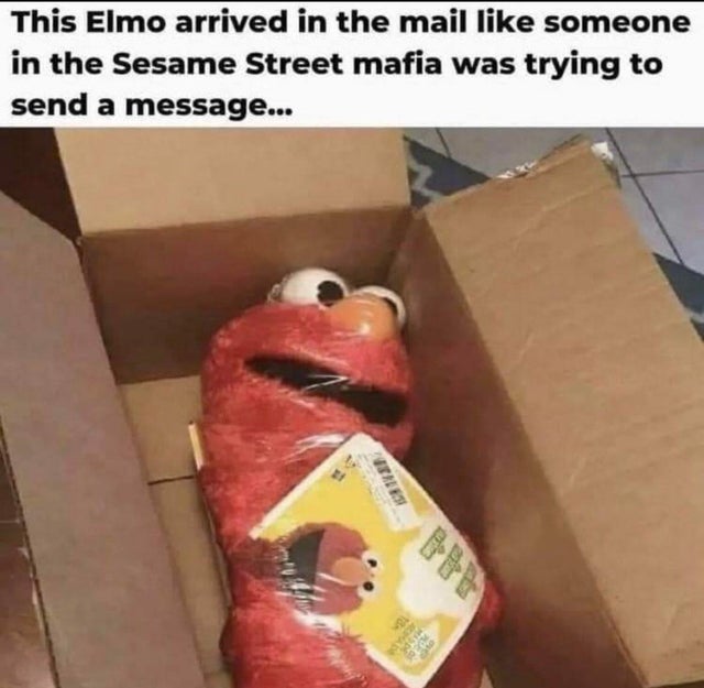 funny elmo memes - This Elmo arrived in the mail someone in the Sesame Street mafia was trying to send a message... Ca