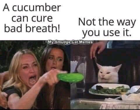 feral druid meme - A cucumber can cure bad breath! Not the way you use it. My Smudge Cal Memes