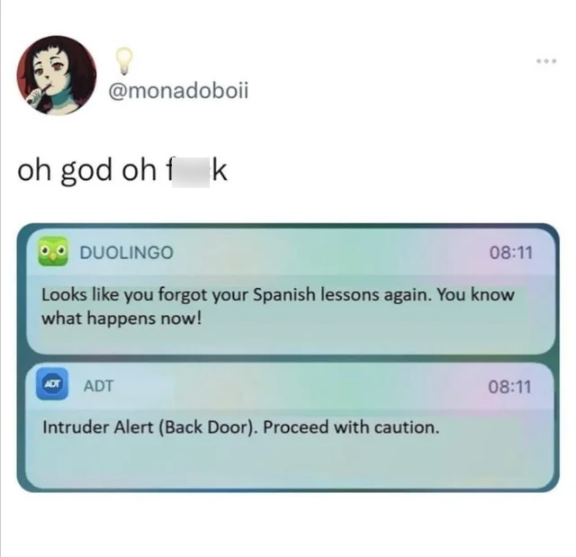 software - oh god ohf k Duolingo Looks you forgot your Spanish lessons again. You know what happens now! Adt Intruder Alert Back Door. Proceed with caution.