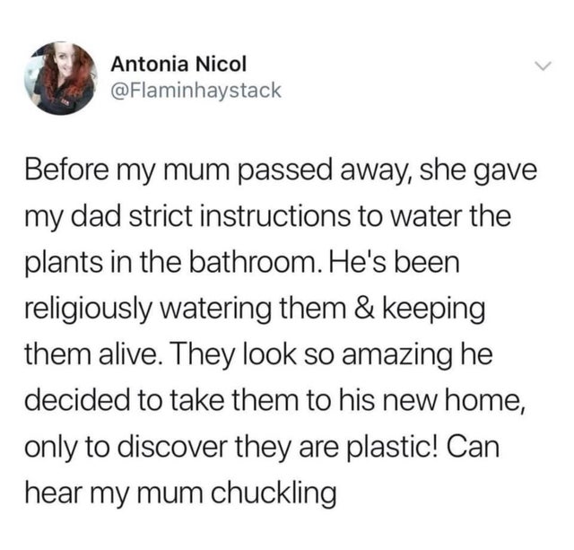dad bod meme vs abs - > Antonia Nicol Before my mum passed away, she gave my dad strict instructions to water the plants in the bathroom. He's been religiously watering them & keeping them alive. They look so amazing he decided to take them to his new hom