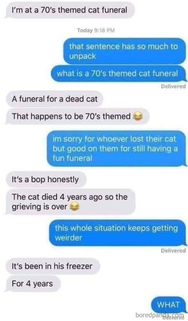 70s themed cat funeral - I'm at a 70's themed cat funeral Today that sentence has so much to unpack what is a 70's themed cat funeral Delivered A funeral for a dead cat That happens to be 70's themed im sorry for whoever lost their cat but good on them fo
