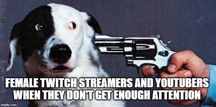 national lampoon dog cover - Female Twitch Streamers And Youtubers When They Dontget Enough Attention imgflip.com