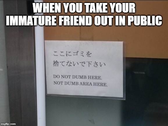 signage - When You Take Your Immature Friend Out In Public Do Not Dumb Here. Not Dumb Area Here. imgflip.com