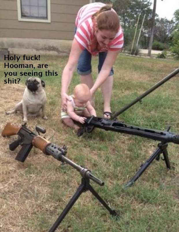 pug sniper - Holy fuck! Hooman, are you seeing this shit?