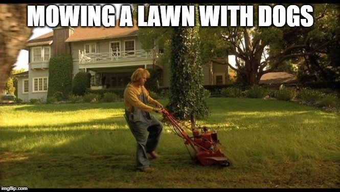 7 Lawnmower Man memes