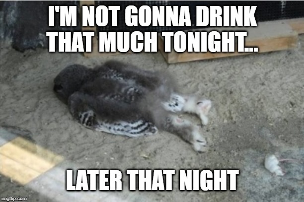 photo caption - I'M Not Gonna Drink That Much Tonight... Later That Night imgflip.com