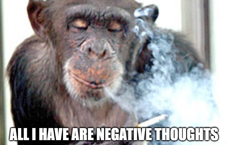 monkey bar maineville - All I Have Are Negative Thoughts