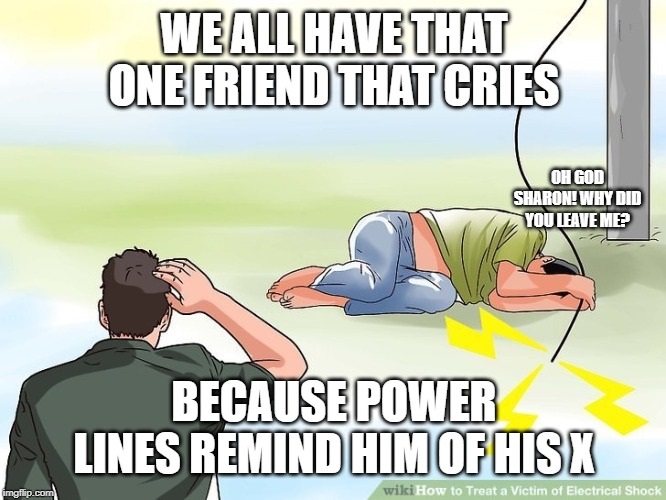 cartoon - We All Have That One Friend That Cries Oh God Sharon! Why Did You Leave Me? Because Power Lines Remind Him Of Hisx Imgflip.com wiki How to Treat a Victim of Electrical Shock