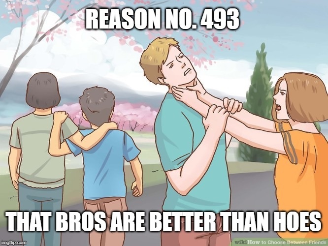 wikihow violence meme - Reason No.493 That Bros Are Better Than Hoes imgflip.com wiki How to Choose Between Friends