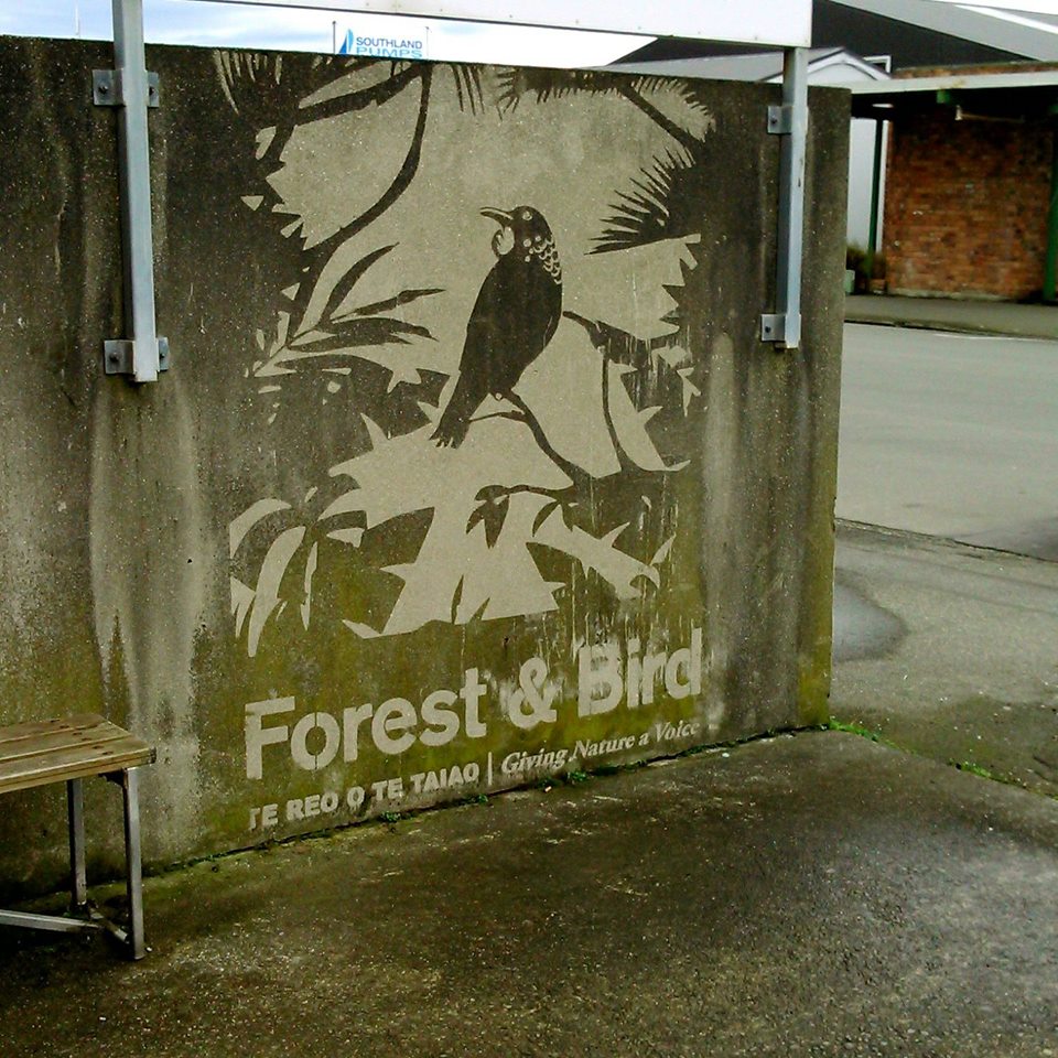 Native bird stencil cleaned onto a wall in New Zealand