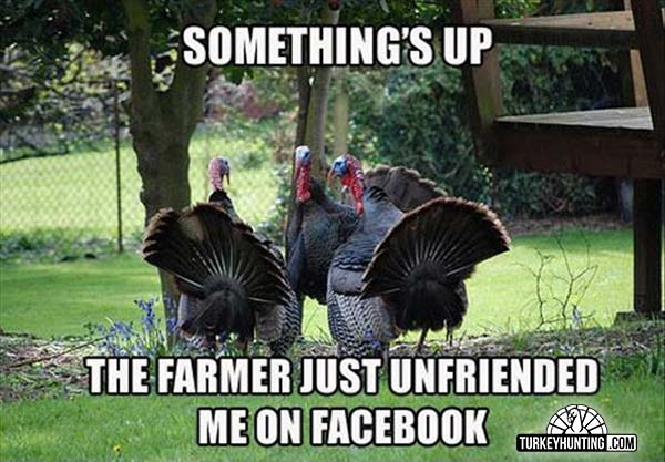 funny thanksgiving memes - Something'S Up The Farmer Just Unfriended Me On Facebook Pro