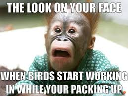 funny dove hunting memes - The Look On Your Face When Birds Start Working In While Your Packing Up