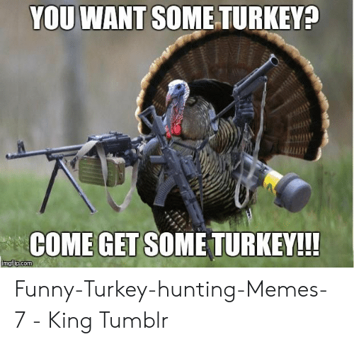 Things to get you in the mood for Turkey Day! - Feels Gallery