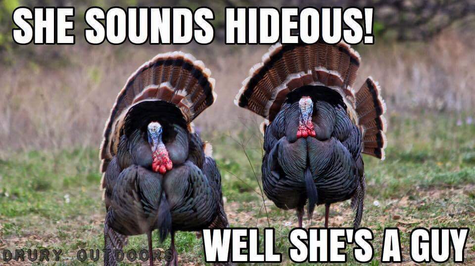 turkey hunting meme funny - She Sounds Hideous! Drury Qubool Well She'S A Guy