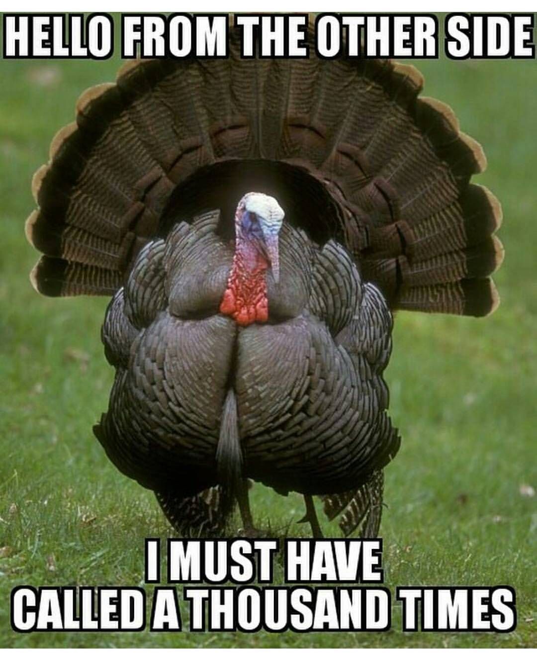 funny turkey memes - Hello From The Other Side I Must Have Called A Thousand Times