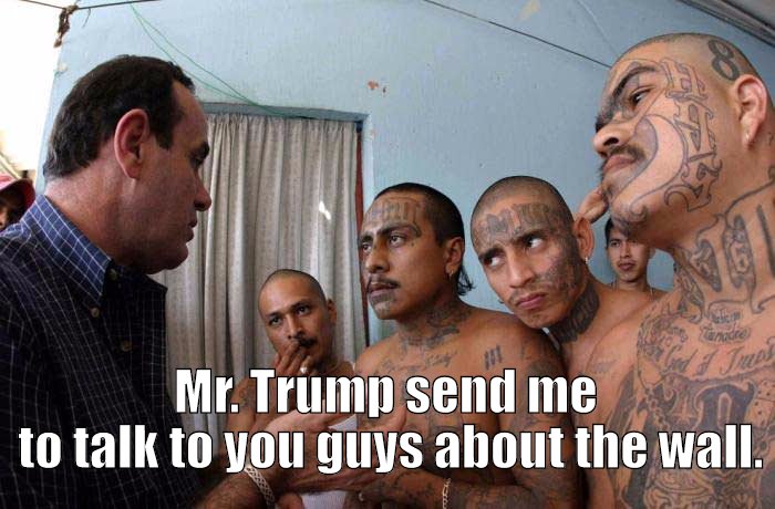 ms 13 long island - Mr. Trump send me to talk to you guys about the wall.